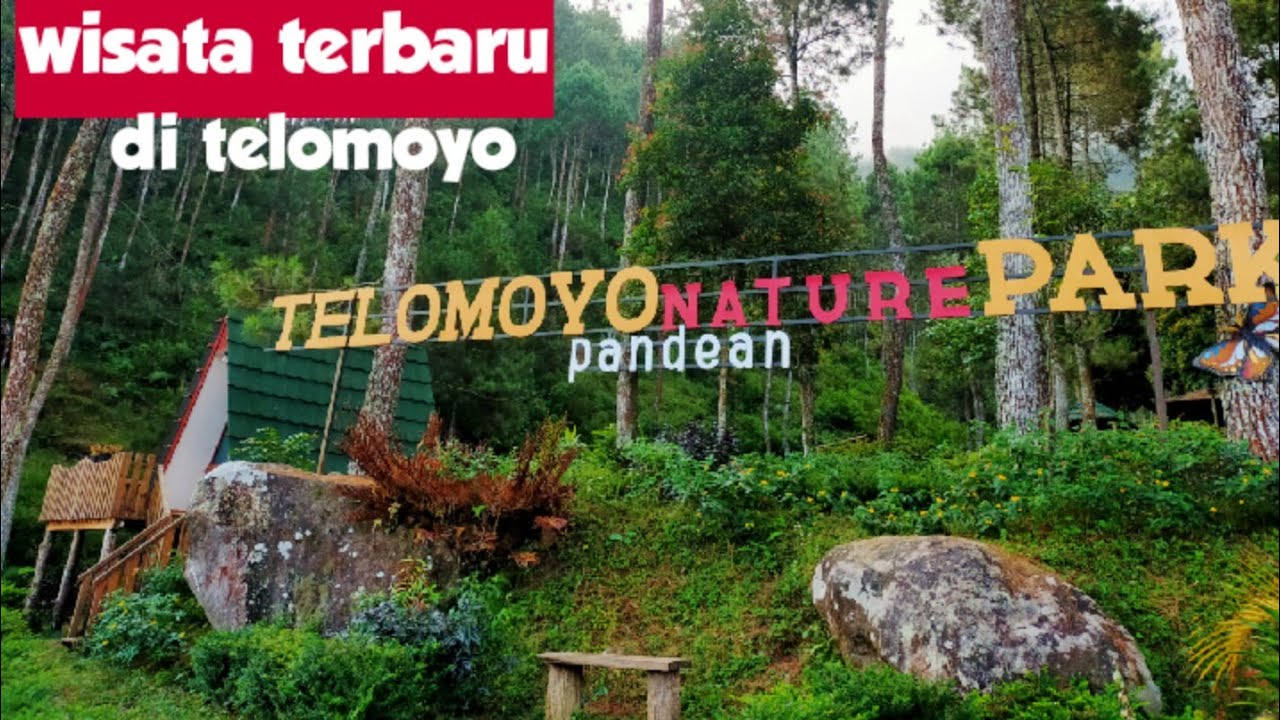 Telomoyo Nature Park: Keindahan Alam di Jawa Tengah